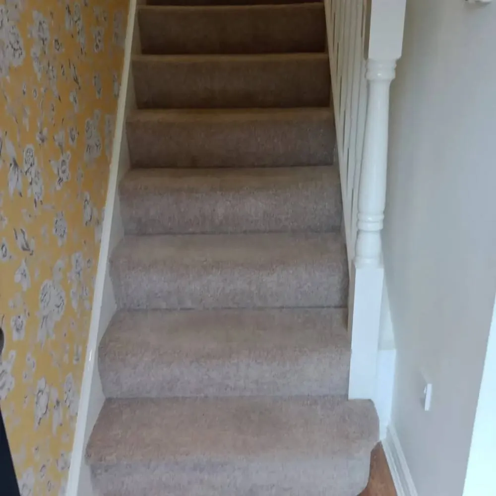 Finished carpeted staircase